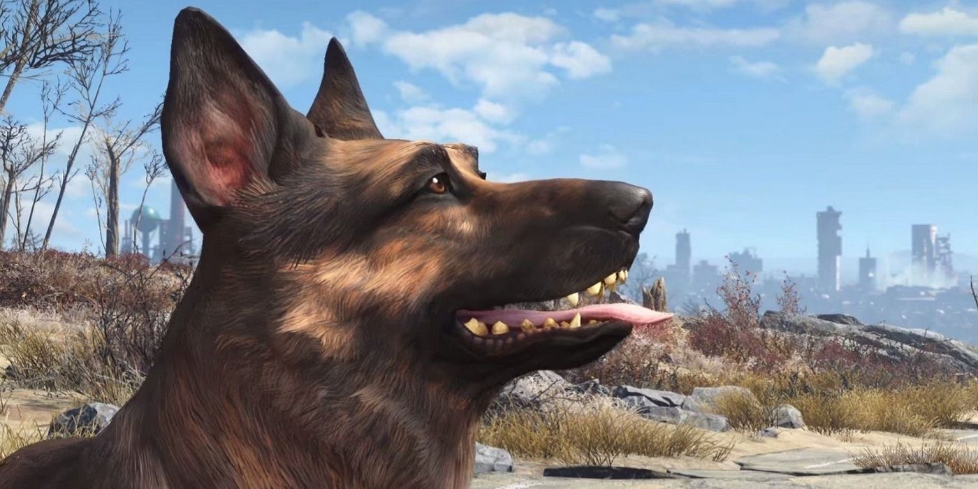 Screenshot from Flalout 4 showing Dogmeat profile.