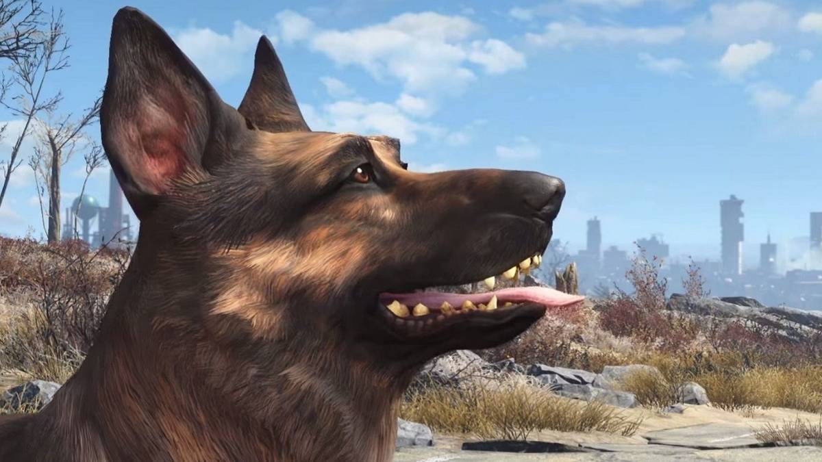 Screenshot from Flalout 4 showing Dogmeat profile.