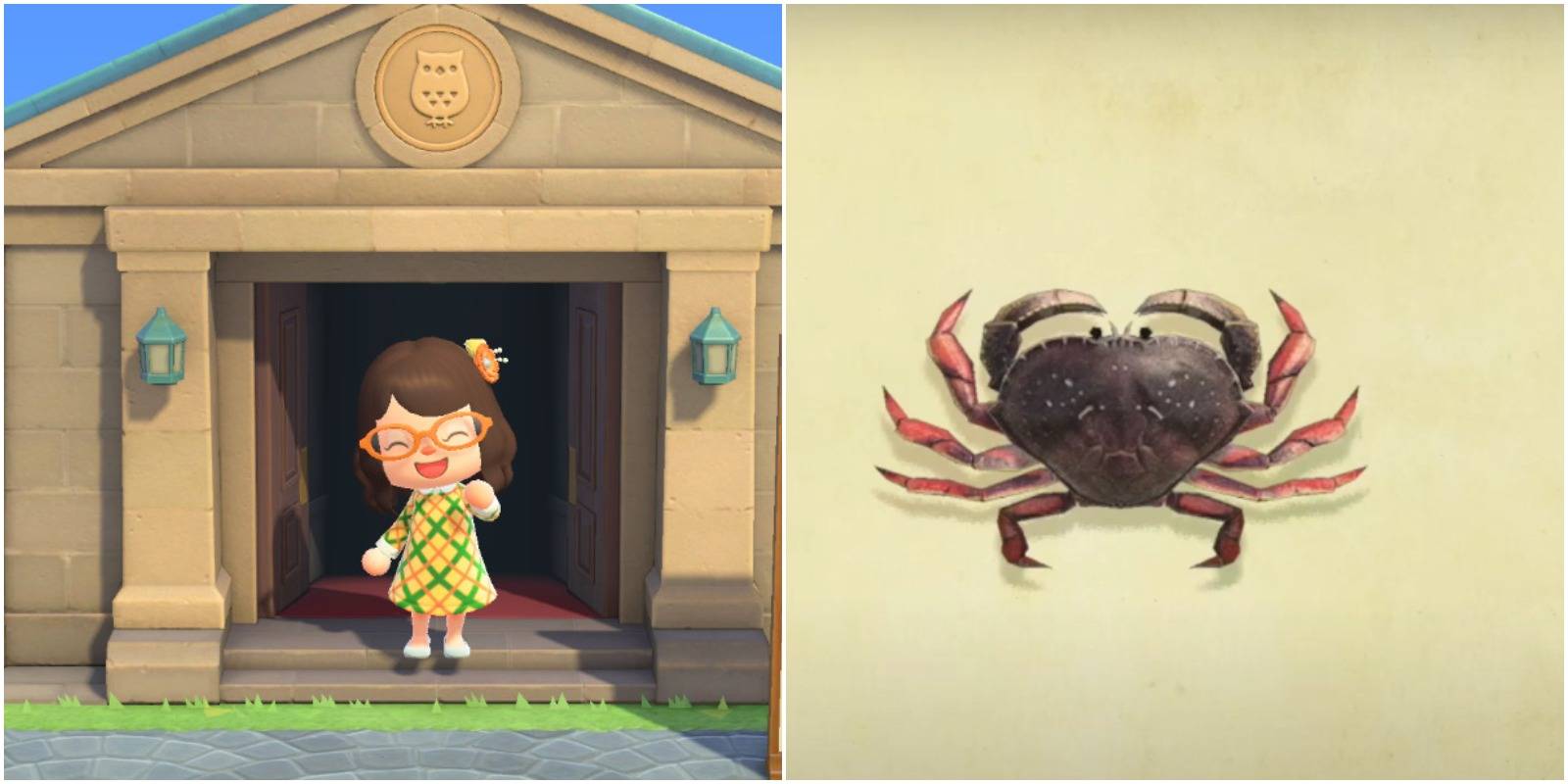 player about to enter the museum and a dungeness crab.