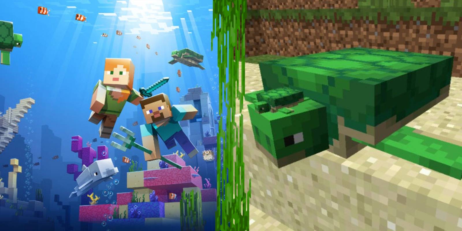 official art for the aquatic update and two turtles on a beach.