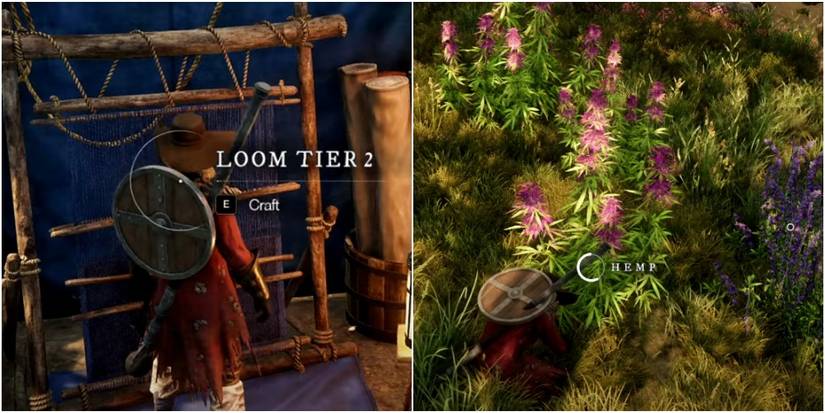 player using a loom and harvesting hemp.