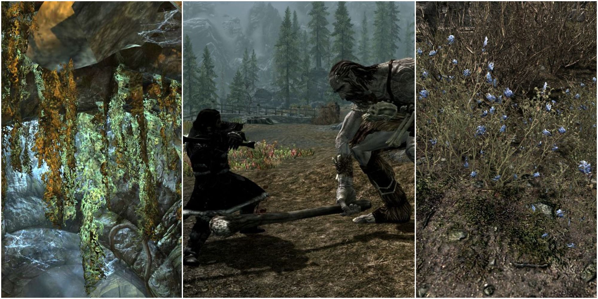 Center: player fighting giant; left& right: alchemy ingredients