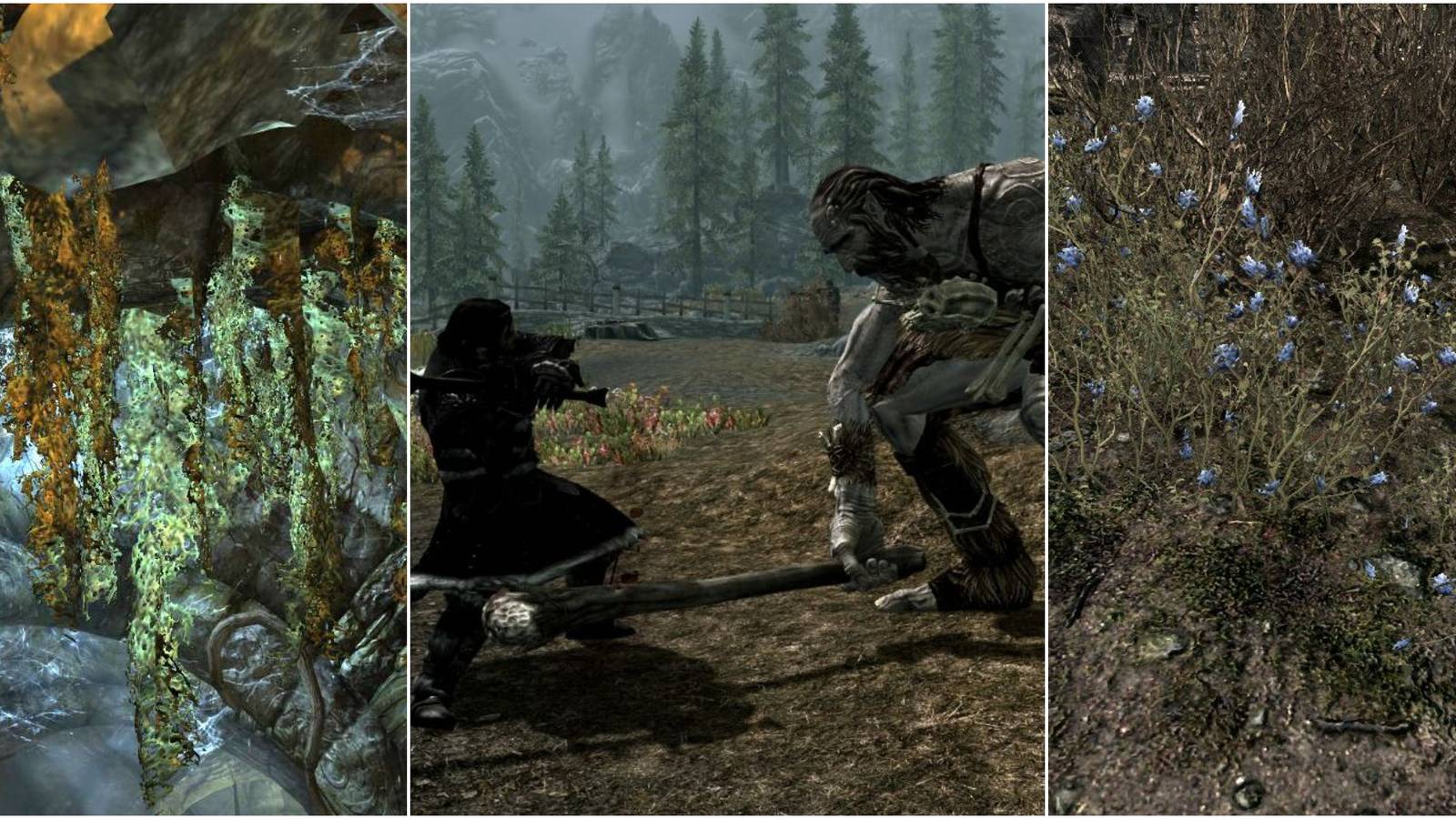 Center: player fighting giant; left& right: alchemy ingredients