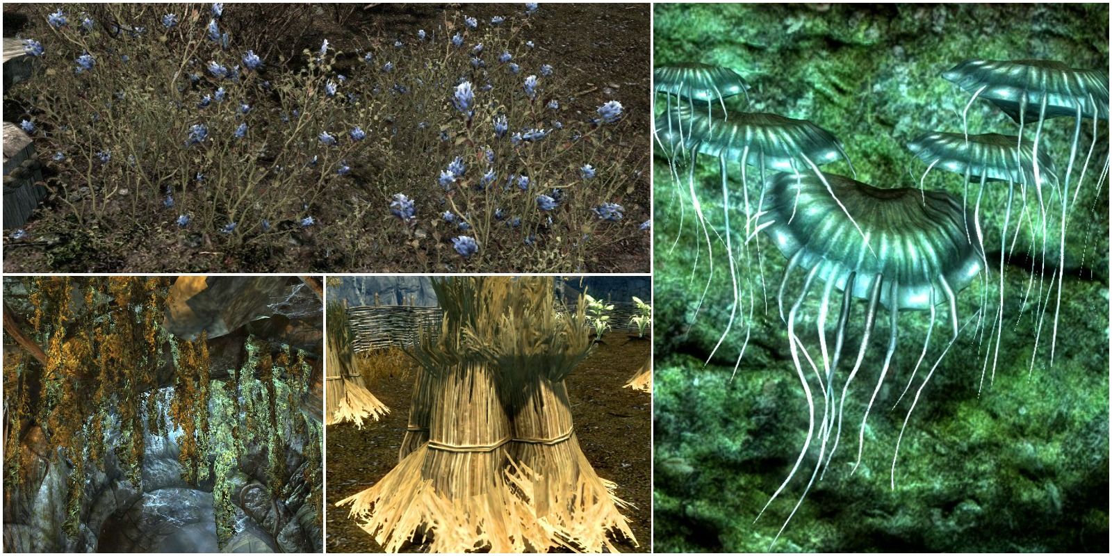 Blue Mountain Flower, Glowing Mushroom, Hanging Moss, Wheat