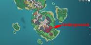 Genshin Impact All Inazuma City Electroculus Locations
