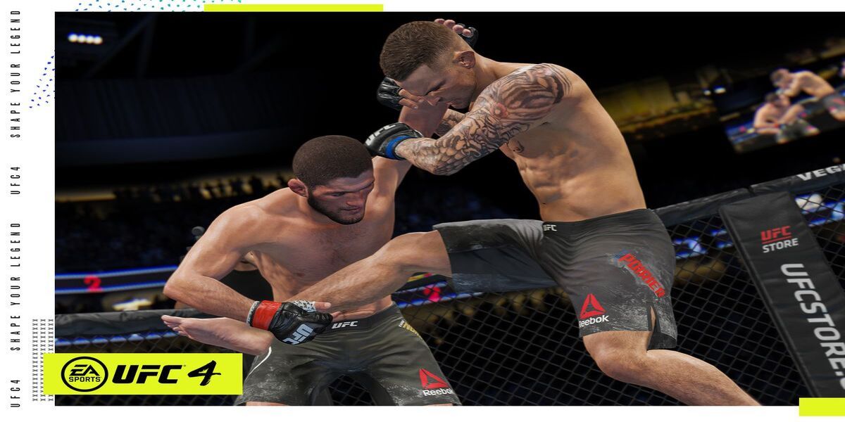 Khabib and Mcgregor fighting in UFC 4
