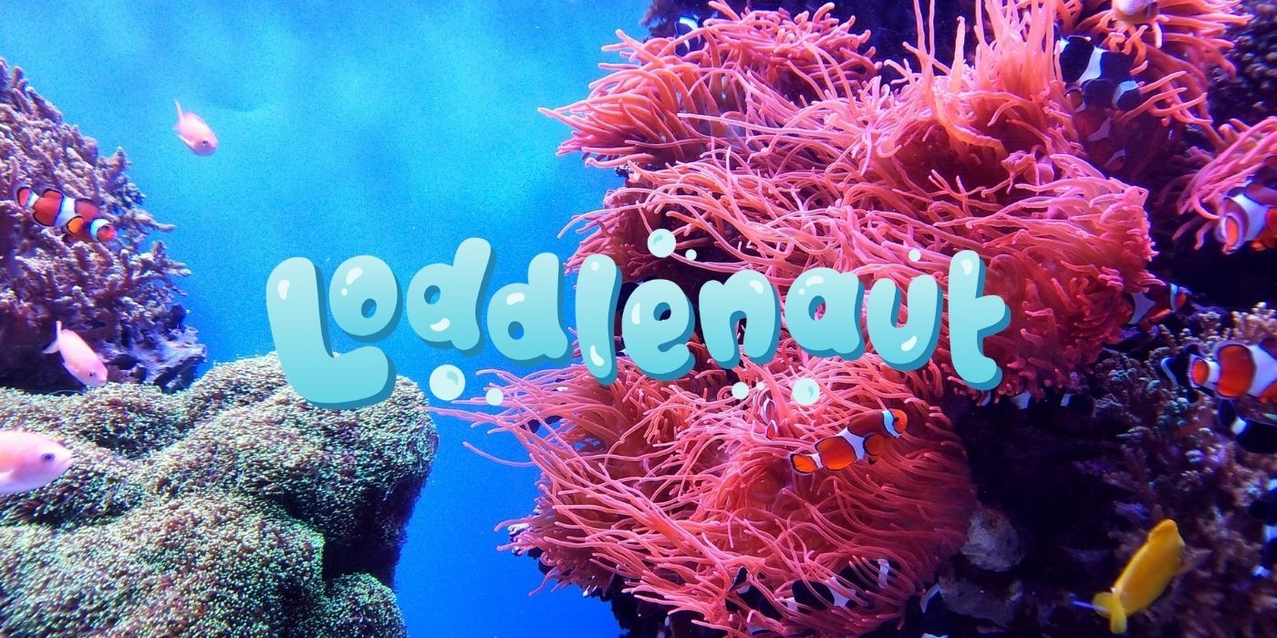 Ocean Conservation is Core Theme for Underwater Pet-Sim Loddlenaut