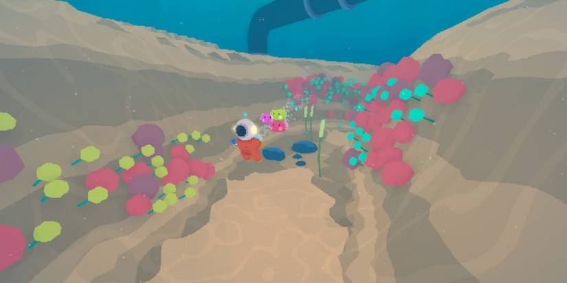 underwater explorer interview