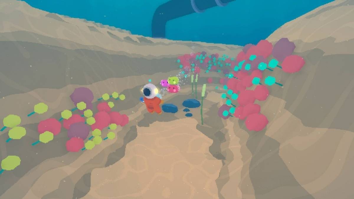 underwater explorer interview