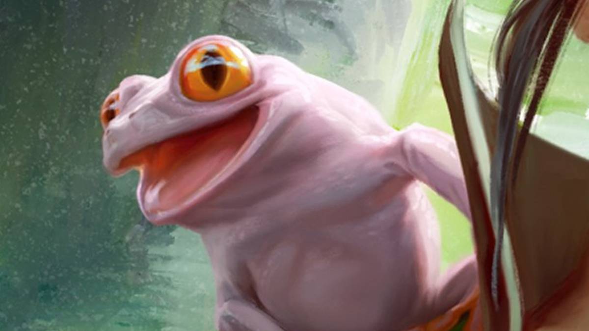 Magic Arena Schedule