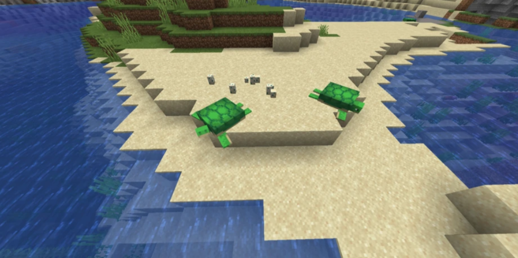 черепахи и черепашьи яйца на пляже.