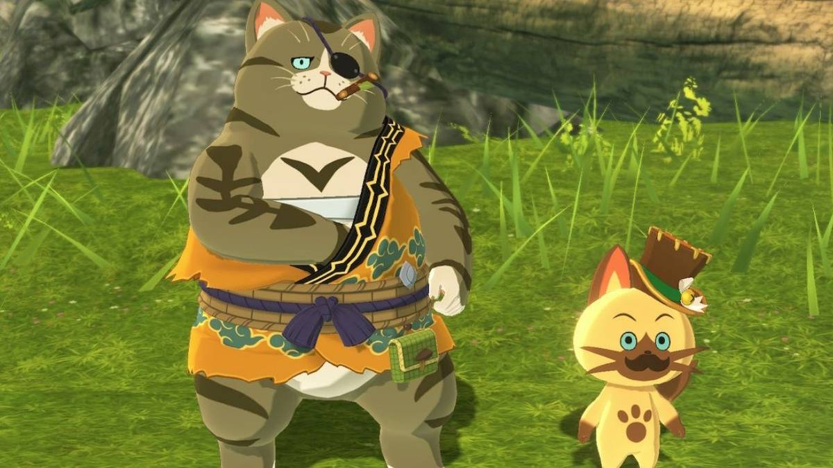 monster hunter stories 2 navirou orgo