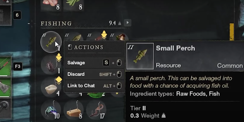 player looking at a small fish in their inventory.