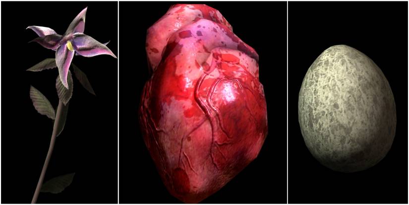 Nightshade, human heart, chicken egg