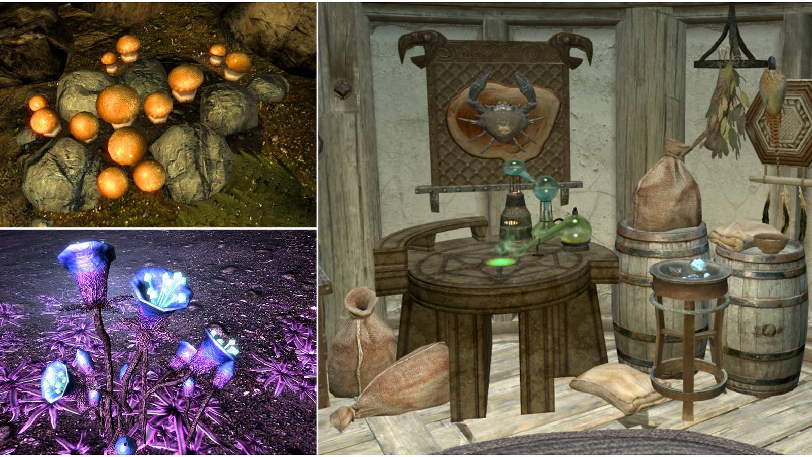 Top left: imp stool; bottom left: gleamblossom; right: alchemy lab