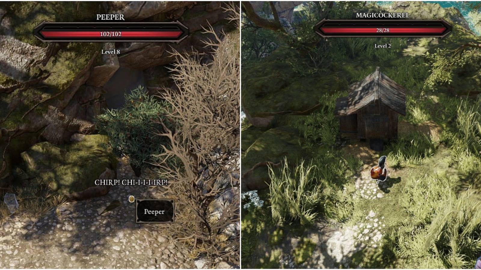 left: peeper, right: magicockerel