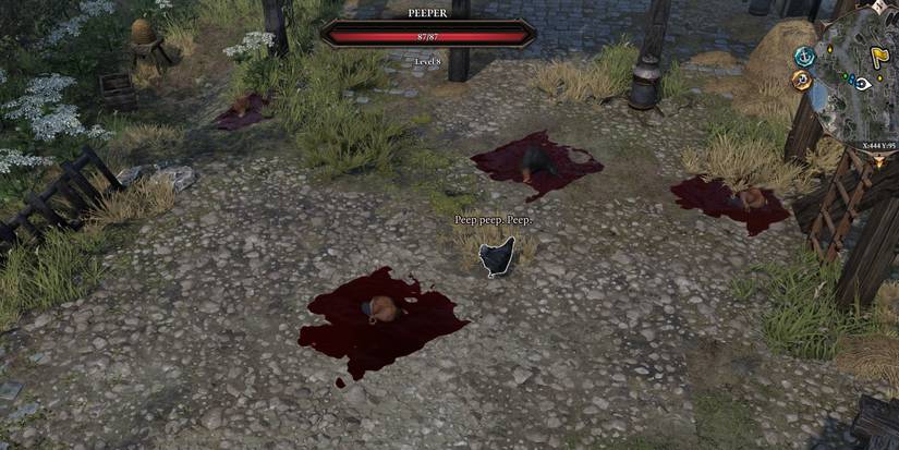 Peeper amid slain chickens