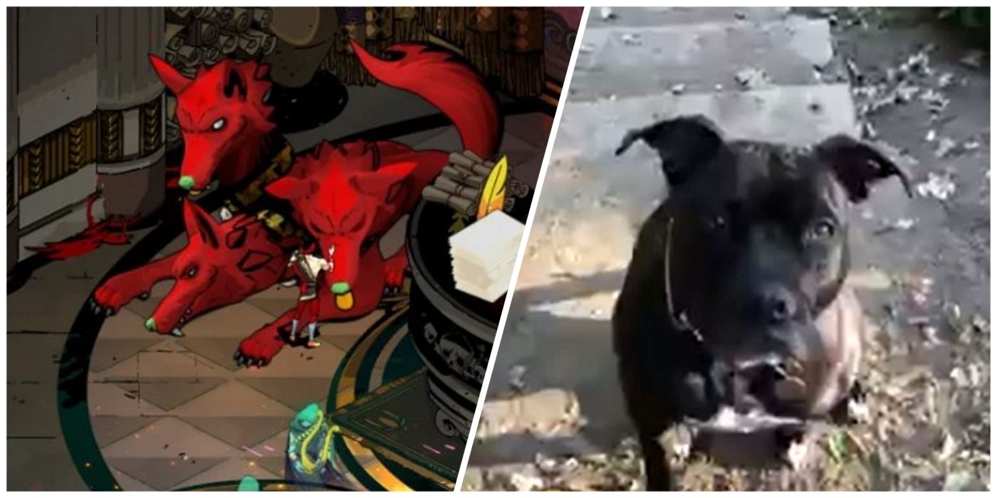Popular Video Game Animals Based on Real-Life like Fallout 4's Dogmeat