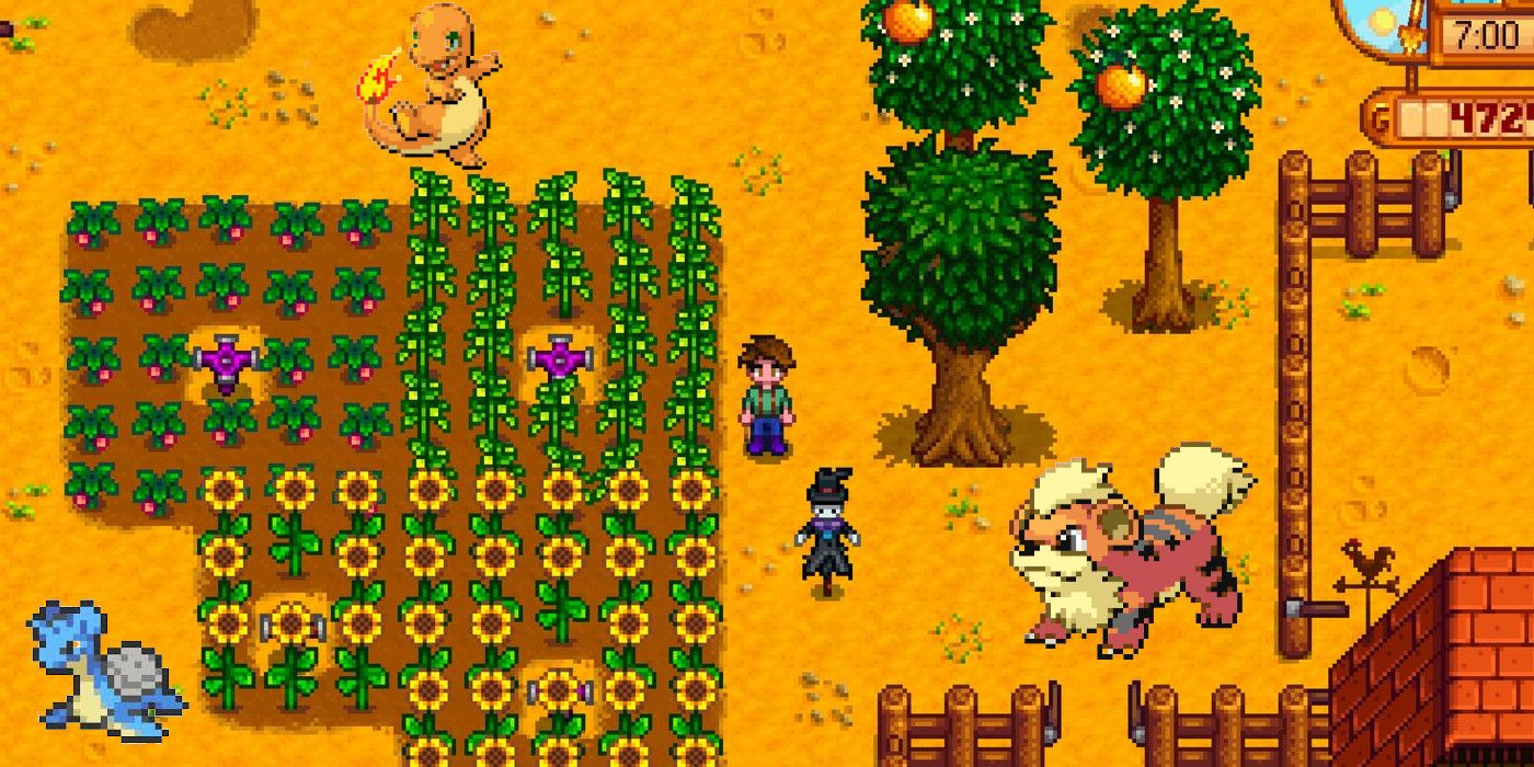 do you need to feed your dog in stardew valley