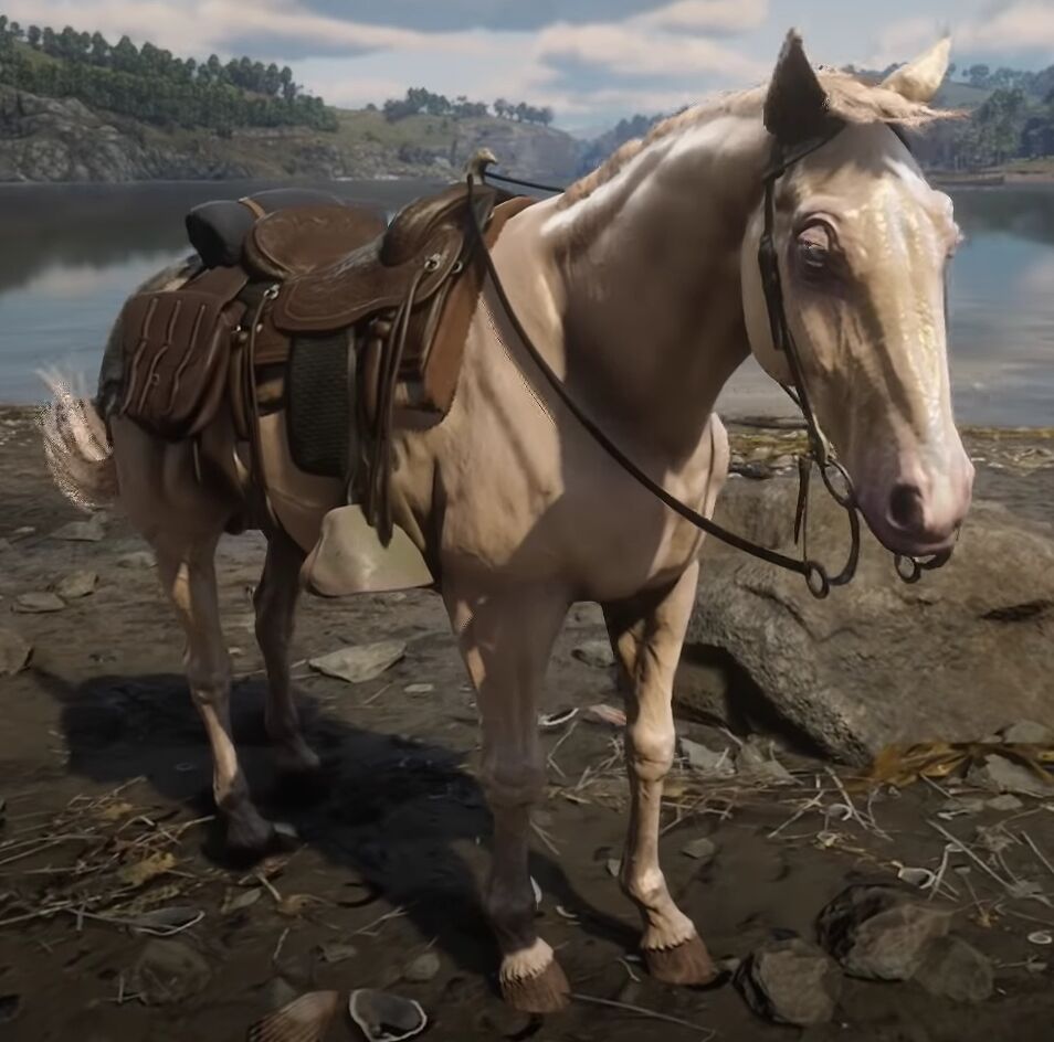 Redemption horse. Ахалтекинская лошадь в РДР 2. Конь Бьюэл в Red Dead Redemption 2. Арабская лошадь РДР 2. Red Dead Redemption 2 Ахалтекинская лошадь.