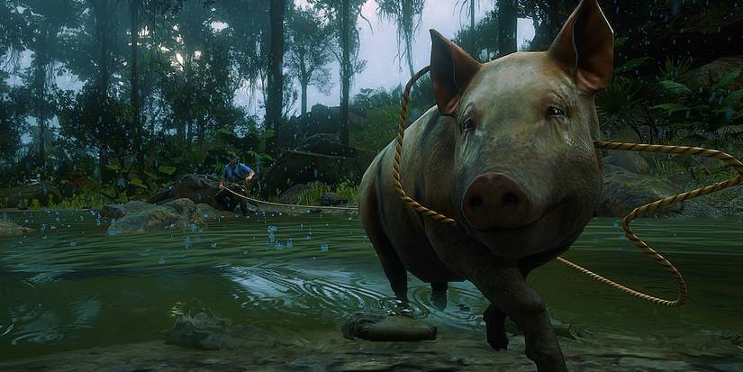 red dead redemption 2 pig