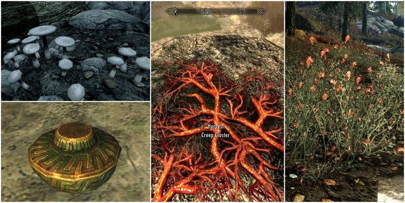 White cap, dwarven oil, red mountain flower, creep cluster