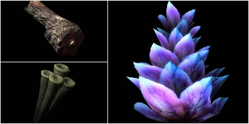 Skeever tail, giant lichen, deathbell