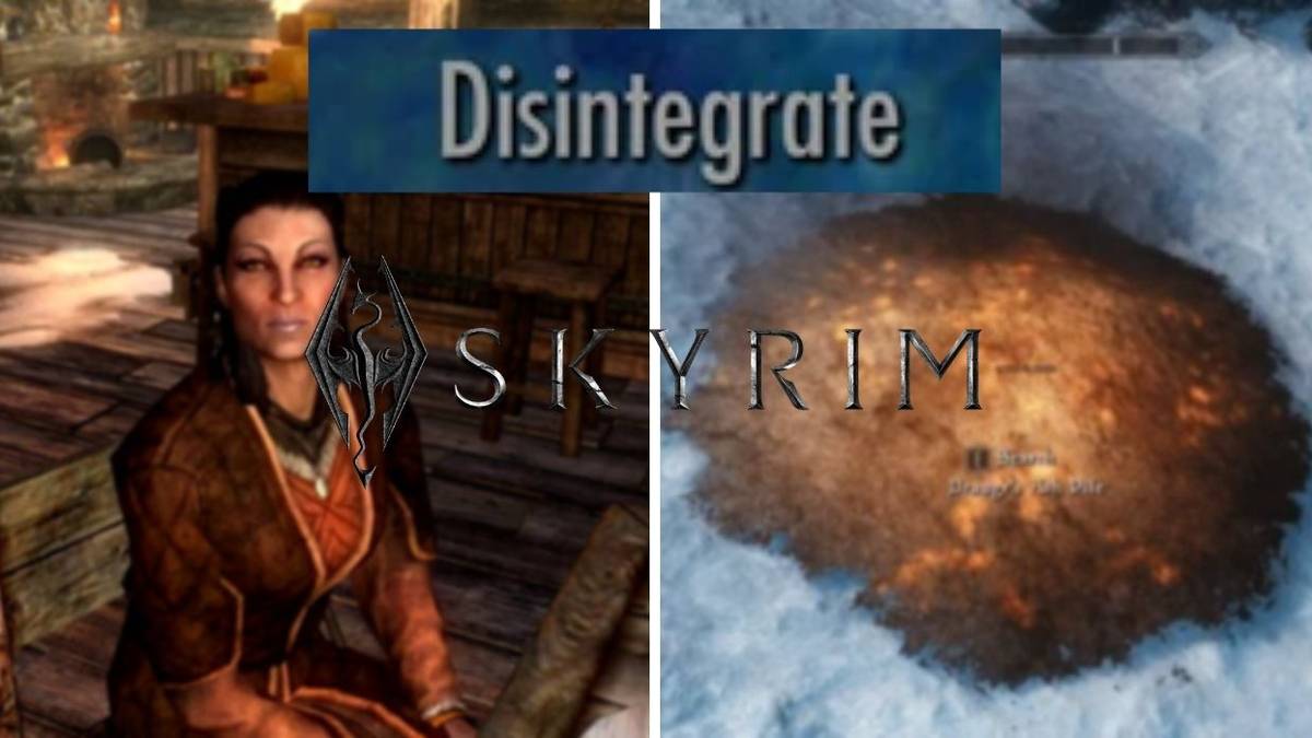 Skyrim player kills essential npcs