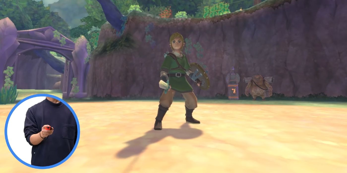 skyward sword hd screenshot showing link and joy con gameplay feature