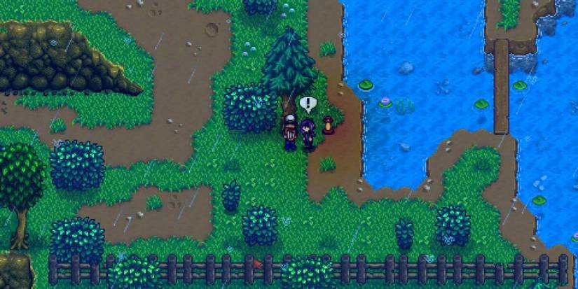 stardew valley