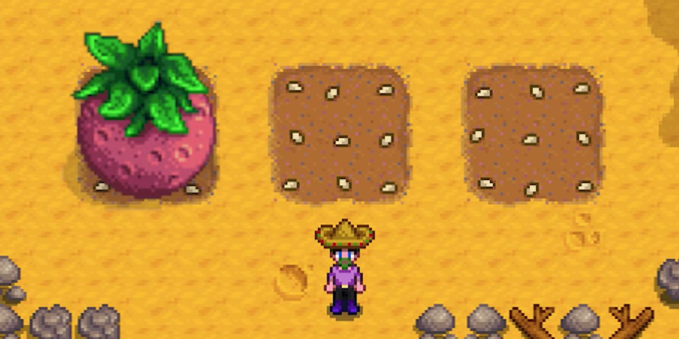 Stardew Valley player with Giant Crop Melon