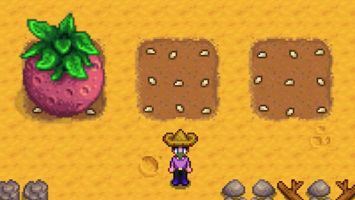 Stardew Valley player with Giant Crop Melon