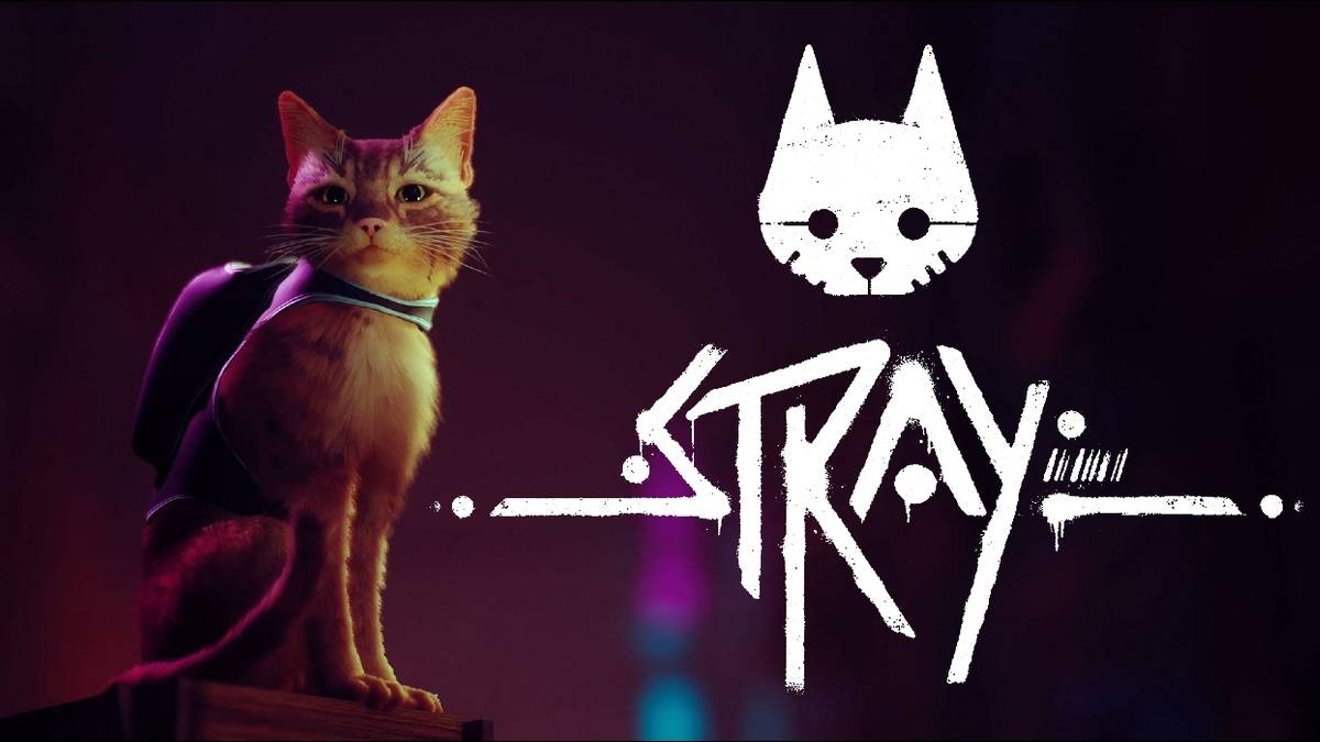 stray cat gameplay trailer