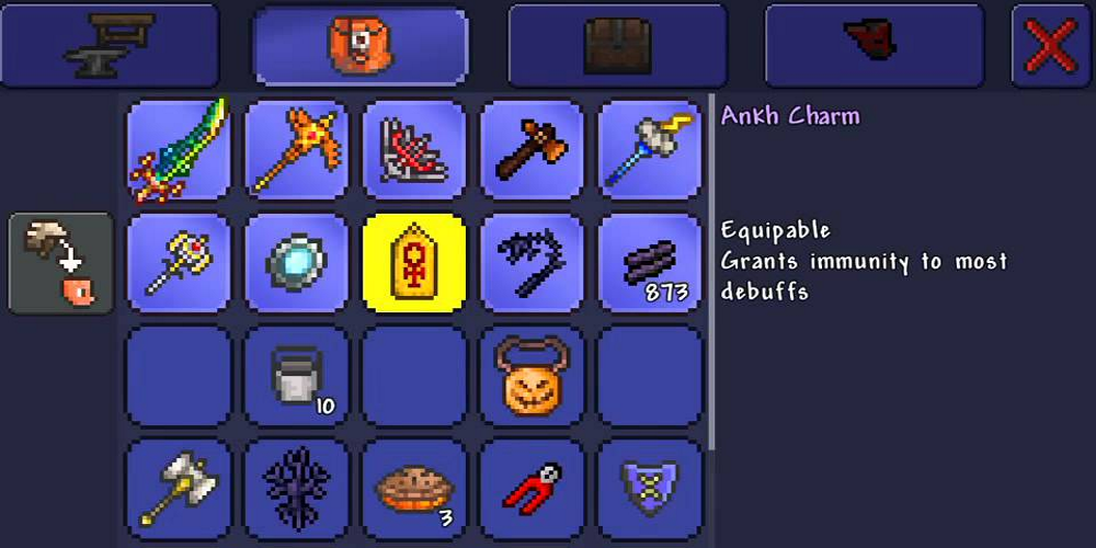 terraria ankh charm weapons inventory accessories debuffs