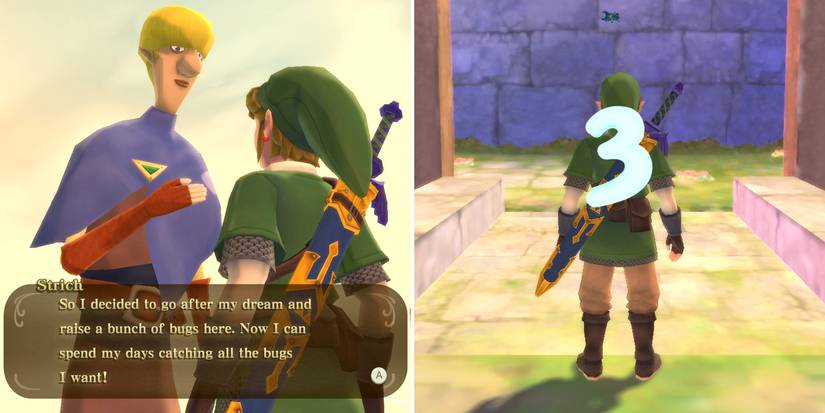 How to start the Beedle's Missing Beetle side quest in The Legend of Zelda: Skyward Sword HD