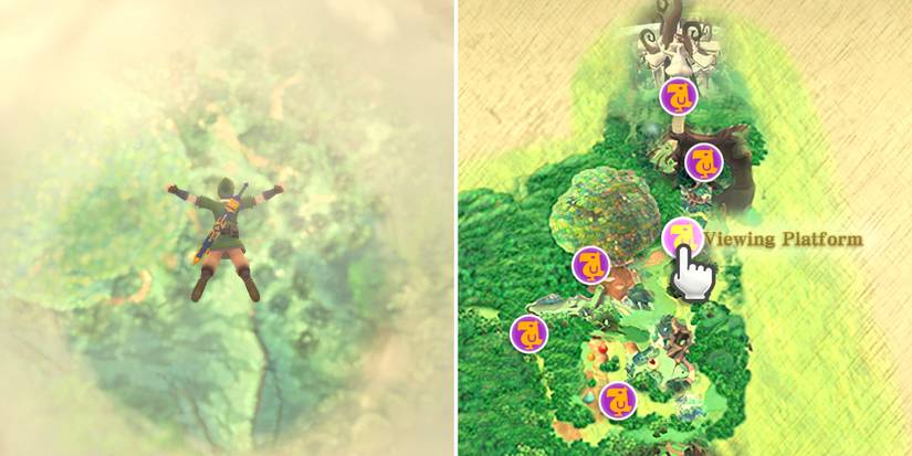 How to find an exotic plant for the Owlan's Exotic Plant side quest in The Legend of Zelda: Skyward Sword HD