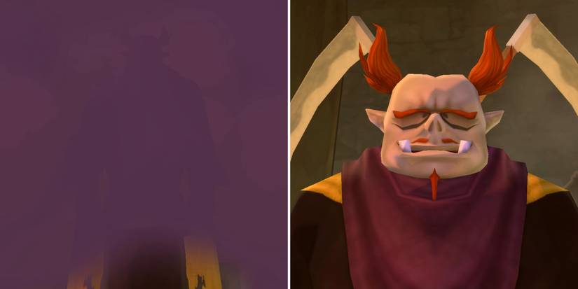 Claiming the reward for the Owlan's Exotic Plant side quest in The Legend of Zelda: Skyward Sword HD