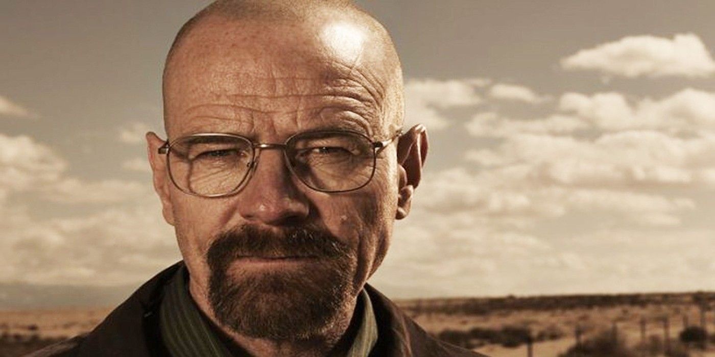 walter white front view breaking bad