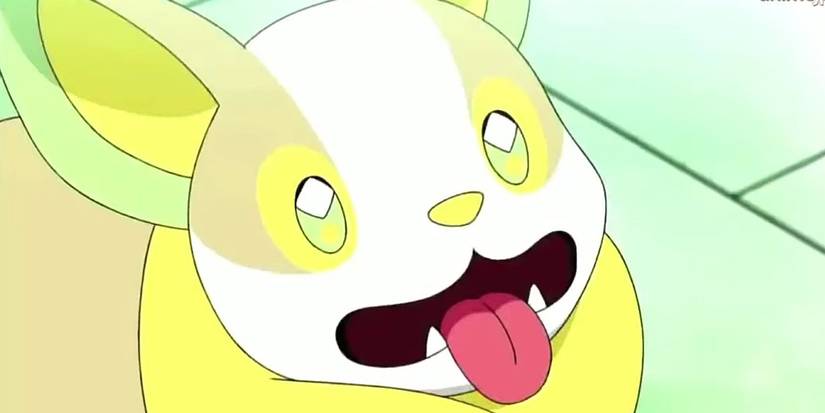 Yamper