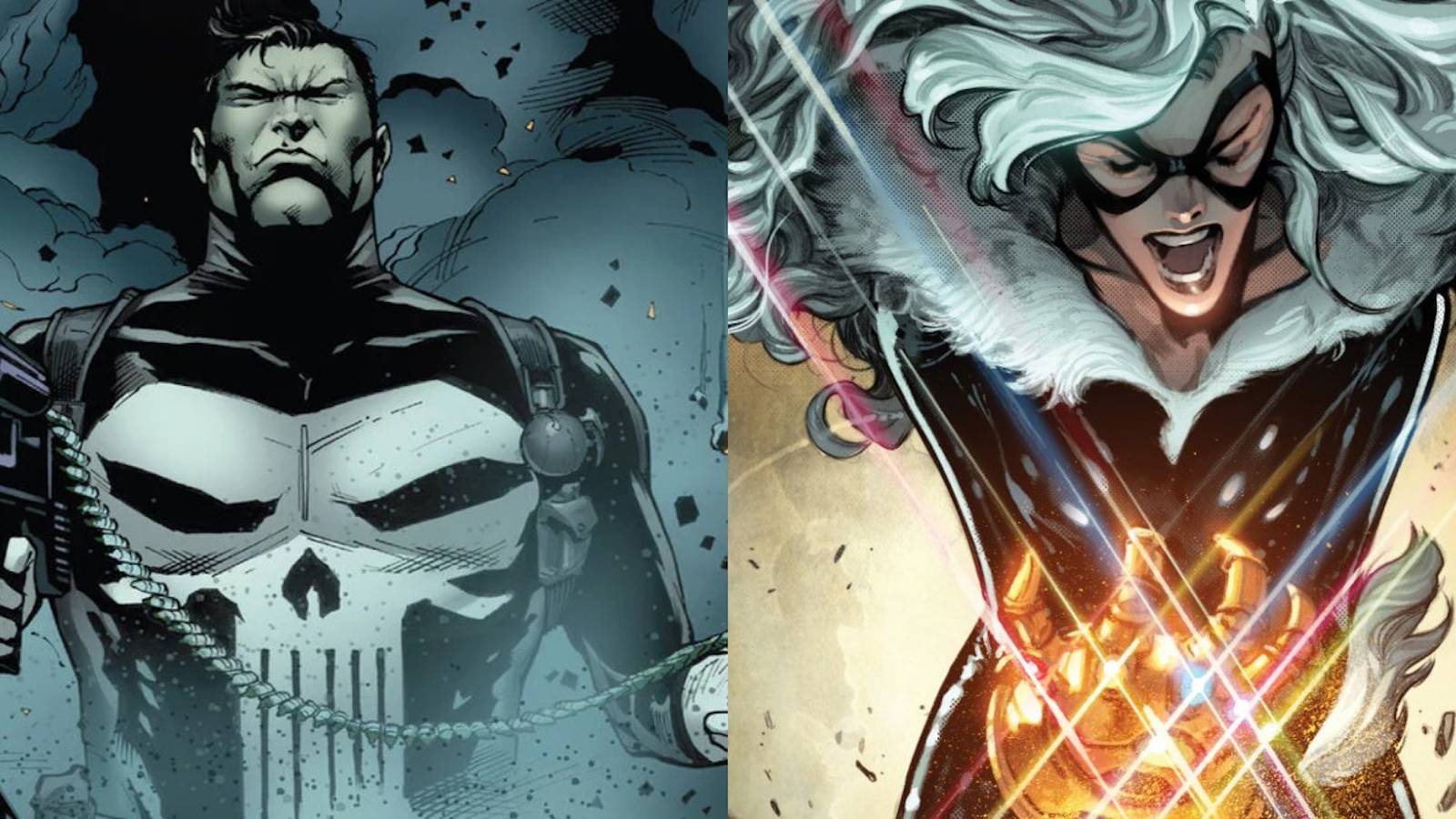 The Punisher and Black Cat from the comics