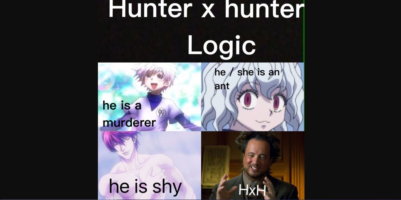 Hunter x Hunter funny memes logic