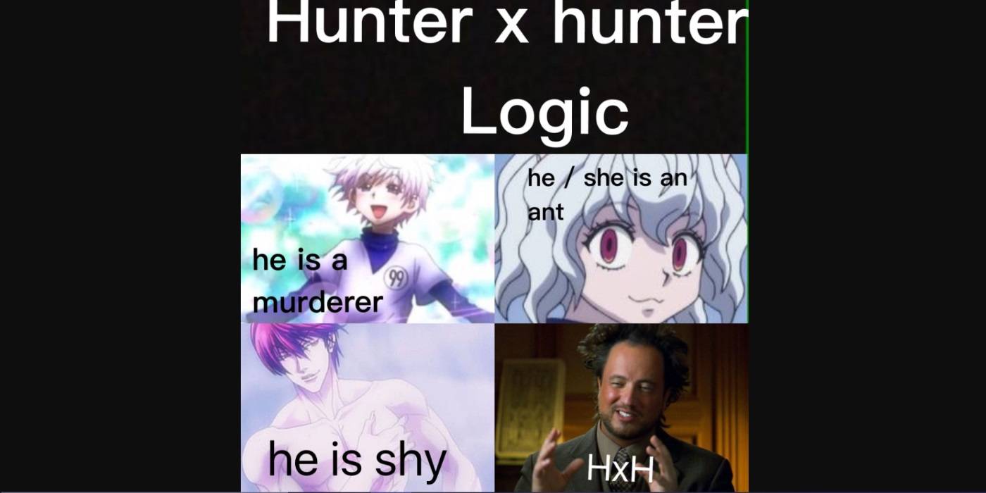 Featured image of post The Best 21 Cursed Hxh Memes