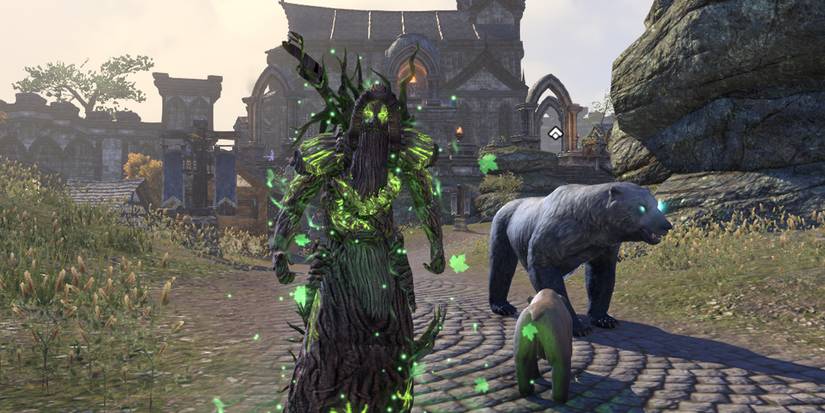 A Warden being a healer