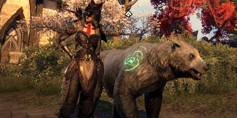 A Warden with a companion bear