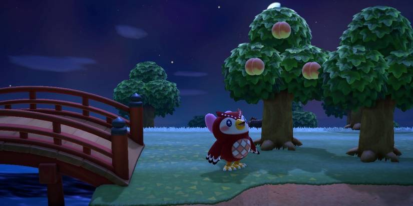 Animal-Crossing-New-Horizons-Celeste-Stargazing-Night