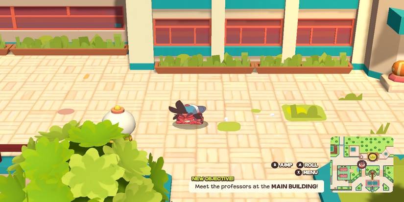 Exploring the world in Dodgeball Academia