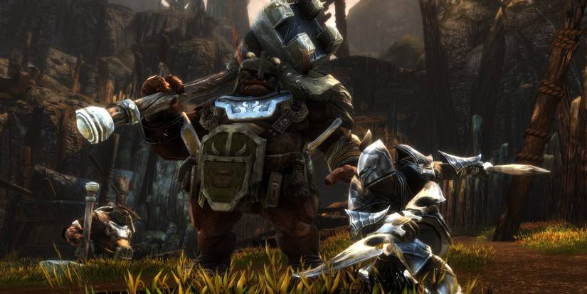 A battle in Kingdoms of Amalur