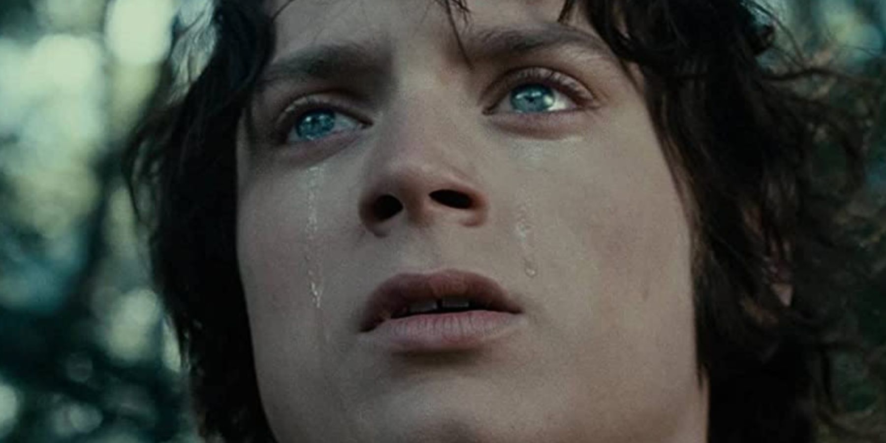 Frodo crying in Lord of the Rings