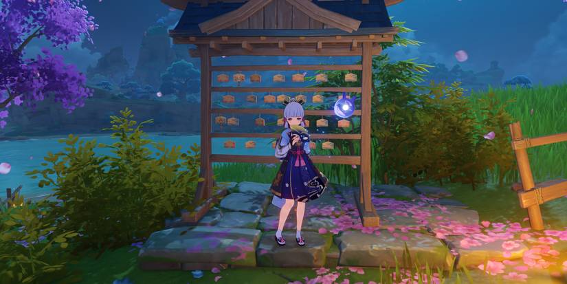 Genshin Ayaka's Wish