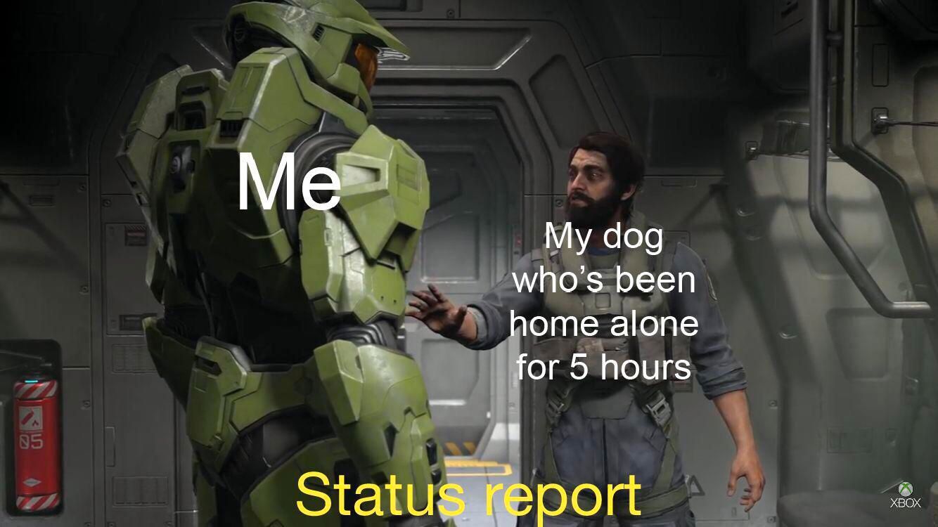 Halo-Infinite-Status-Report-Dog